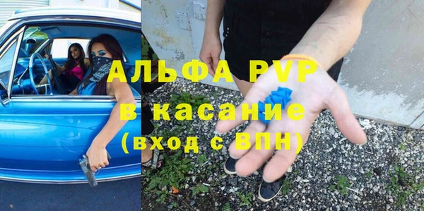 шишки Аркадак