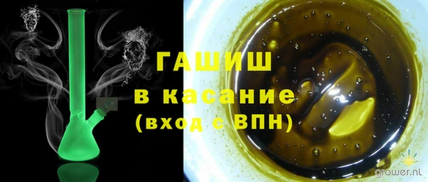 шишки Аркадак