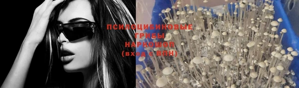 шишки Аркадак