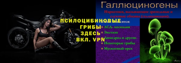 твердый Арсеньев