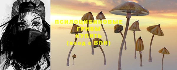 шишки Аркадак