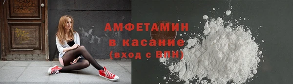 твердый Арсеньев