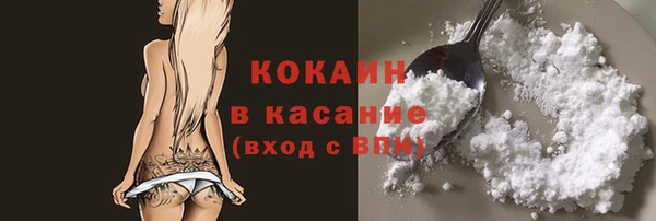 твердый Арсеньев