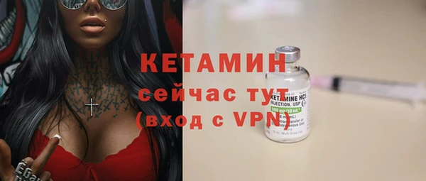 твердый Арсеньев