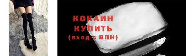 шишки Аркадак