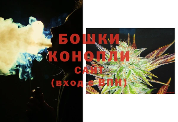 шишки Аркадак