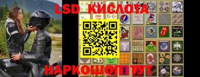 индика Будённовск