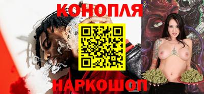 индика Будённовск