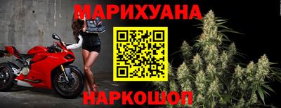 индика Будённовск