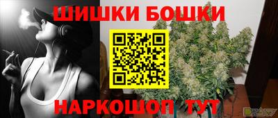 индика Будённовск