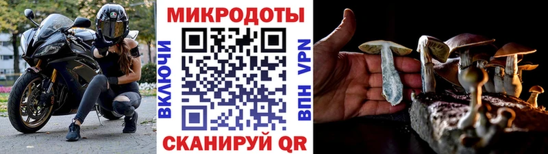 omg ССЫЛКА  Сургут  Галлюциногенные грибы Psilocybe 