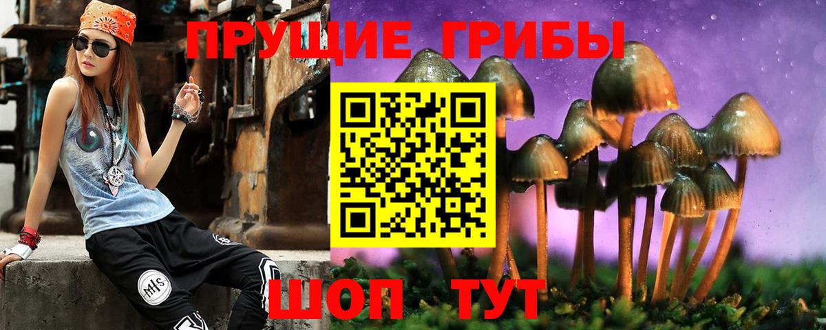 Галлюциногенные грибы прущие грибы Сургут