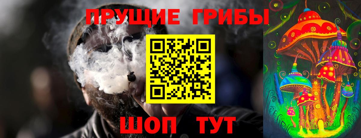 Галлюциногенные грибы Cubensis  наркота  Сургут  Вход с VPN 