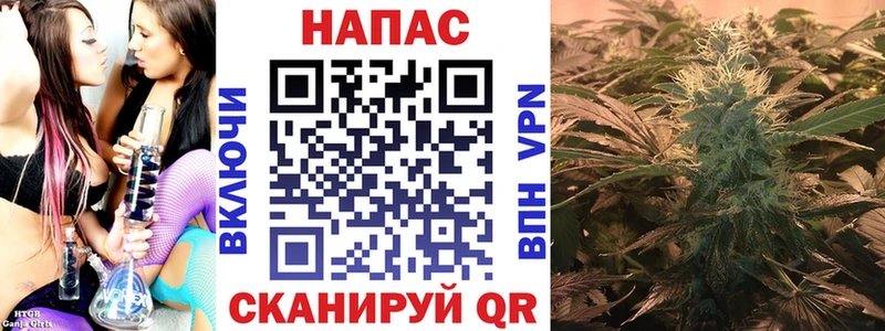 как найти закладки  Сургут  shop Telegram  Марихуана тримм 